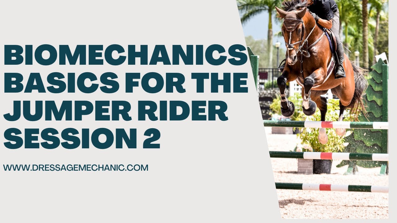 Dressage Mechanics for the jumper rider with Leif Aho pt 2