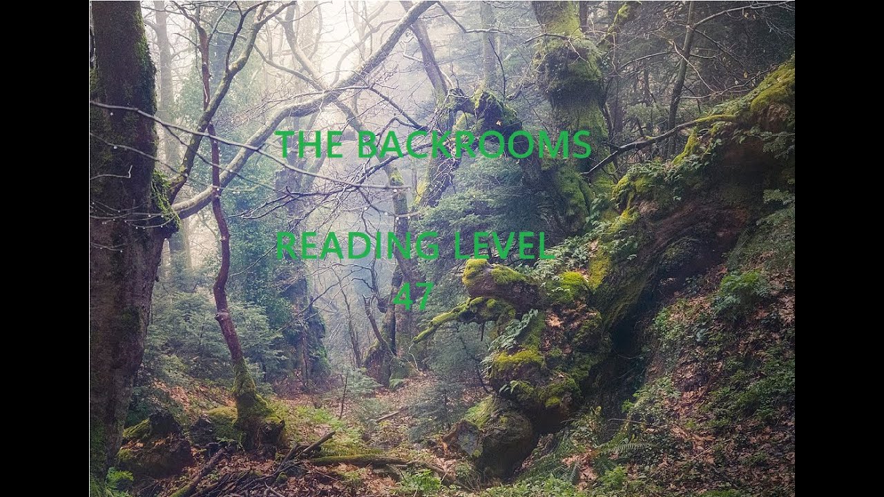 The Backrooms Reading Level 47