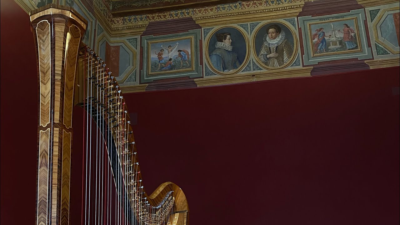 Ernesto Lecuona- Malaguena Arr. for Harp by Zeynep Duru Güleç