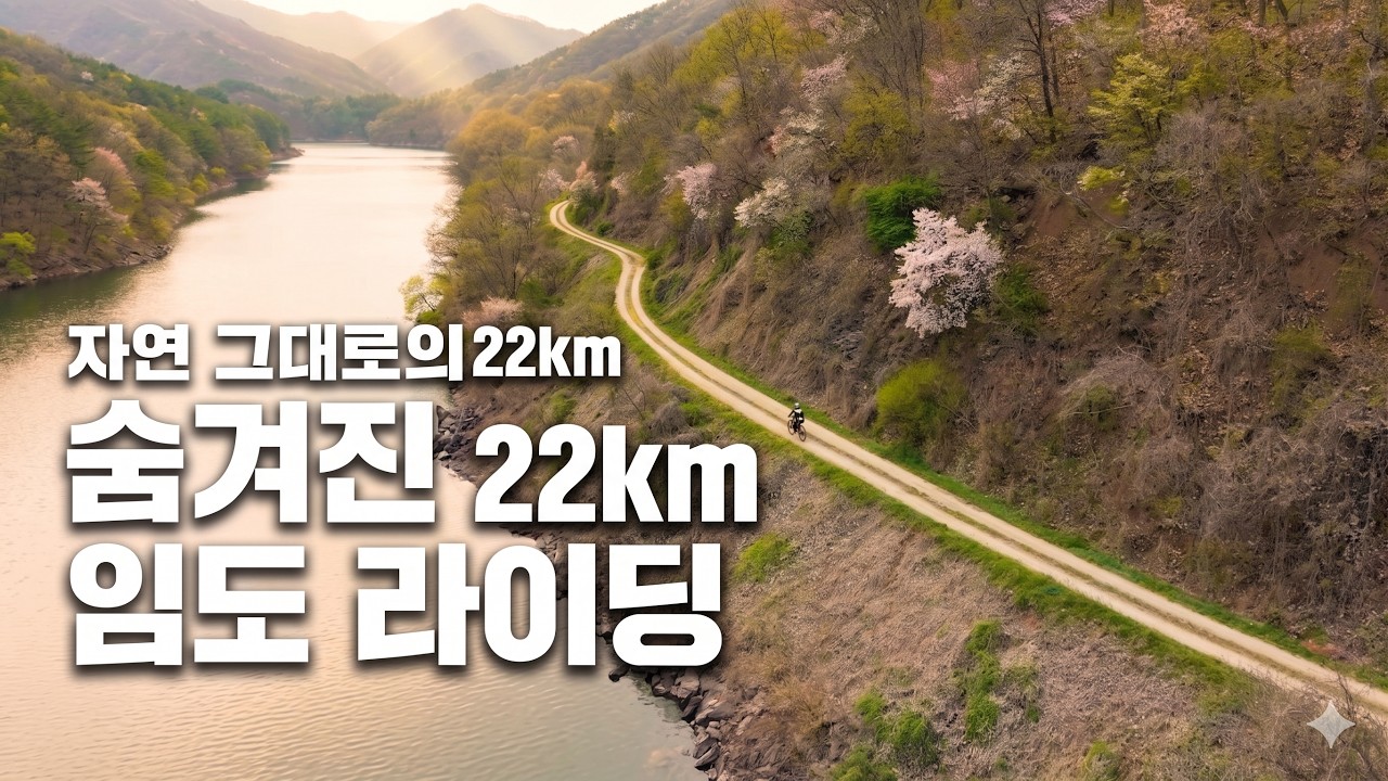 그래블 자전거에 완벽한 충북 저수지 임도 코스🌳 22km 투어 라이딩