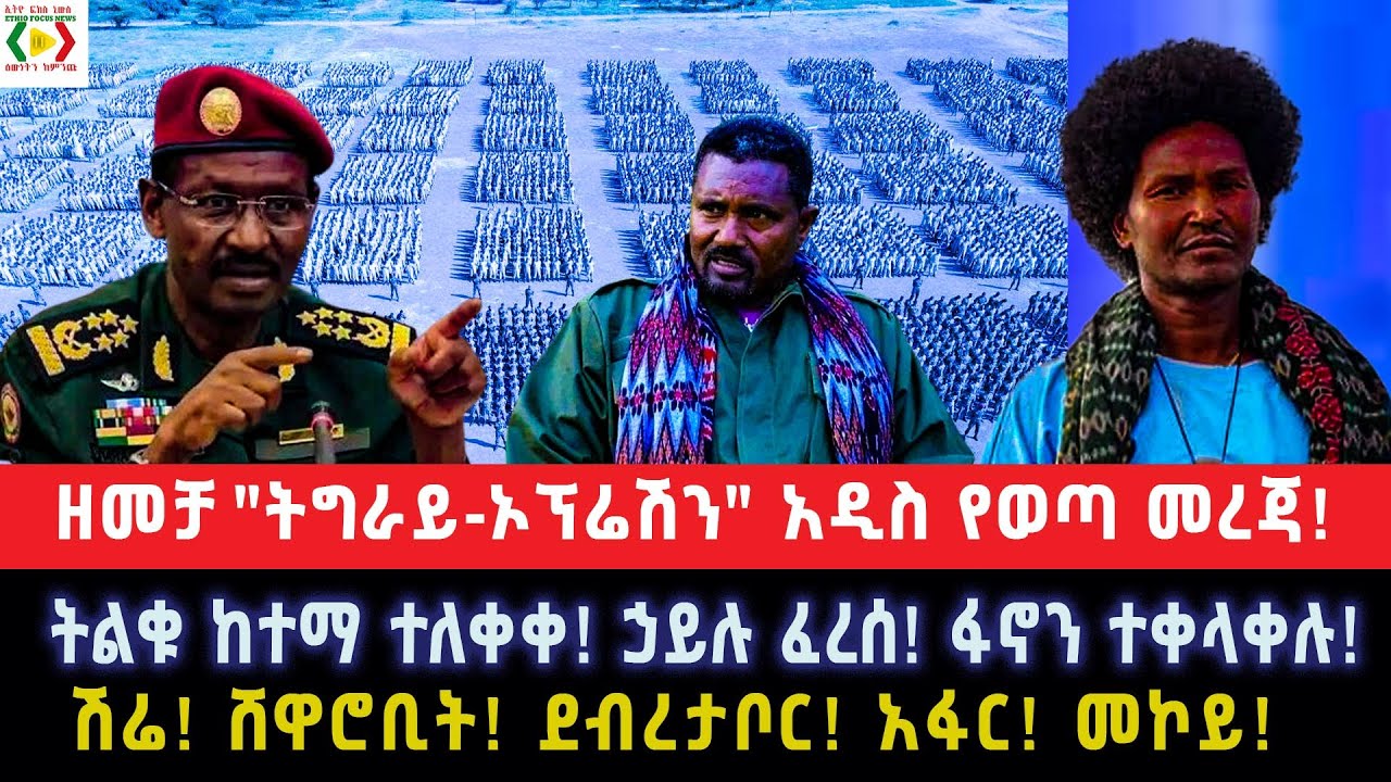 ዘመቻ 