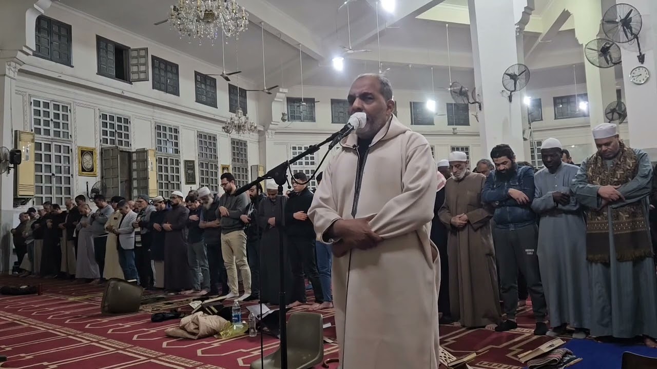 فواتح سورة البقرة /تراويح ٢٠٢٦/مسجد السلام/الشيخ مصطفى اللاهوني 