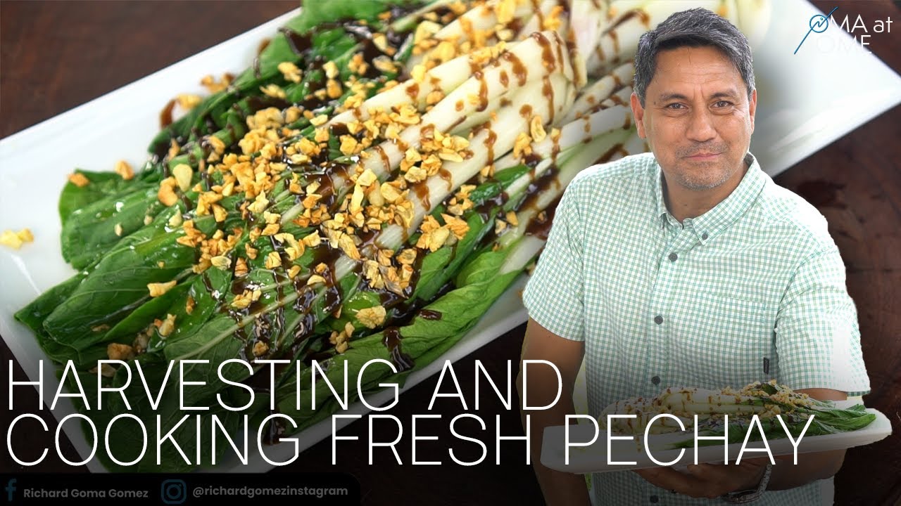 Goma At Home: Harvesting And Cooking Fresh Pechay
