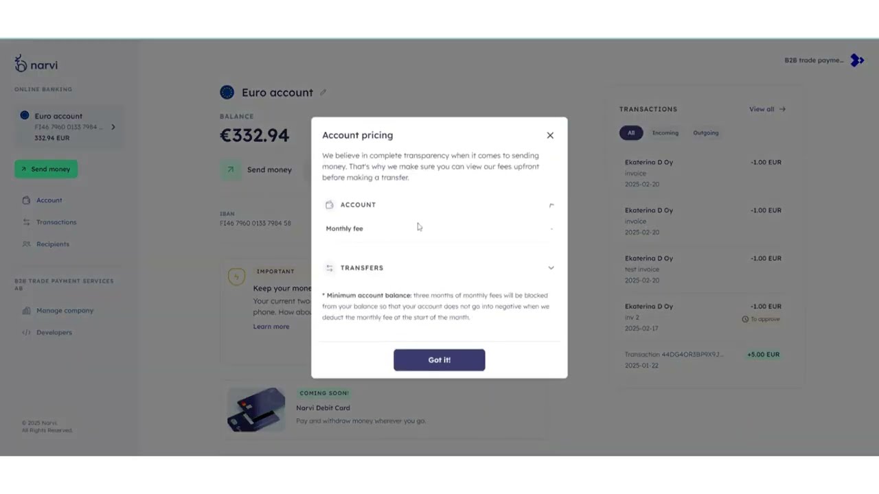 Business Banking Dashboard Overview | Narvi Payments