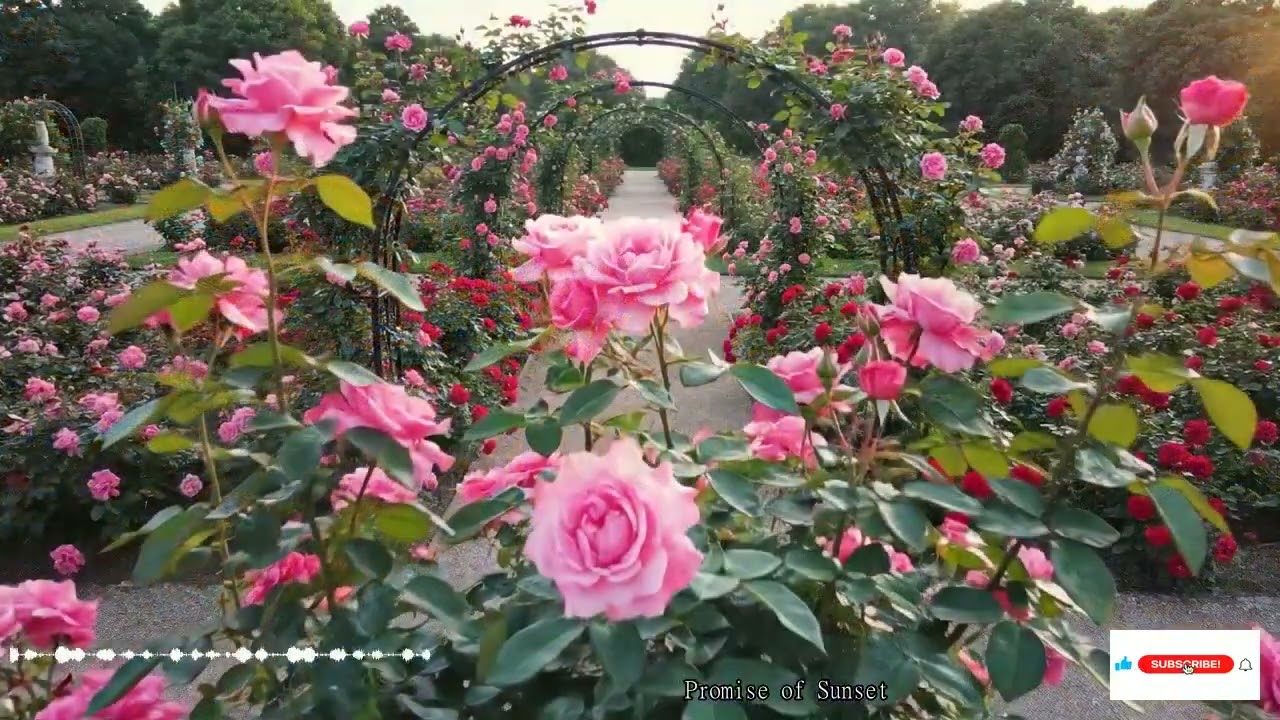 잔잔한 밤공기와 어우러진 피아노와 현악의 3시간 연속 선율, 카페의 온기 속에서 만나는 깊은 휴식과 명상의 시간