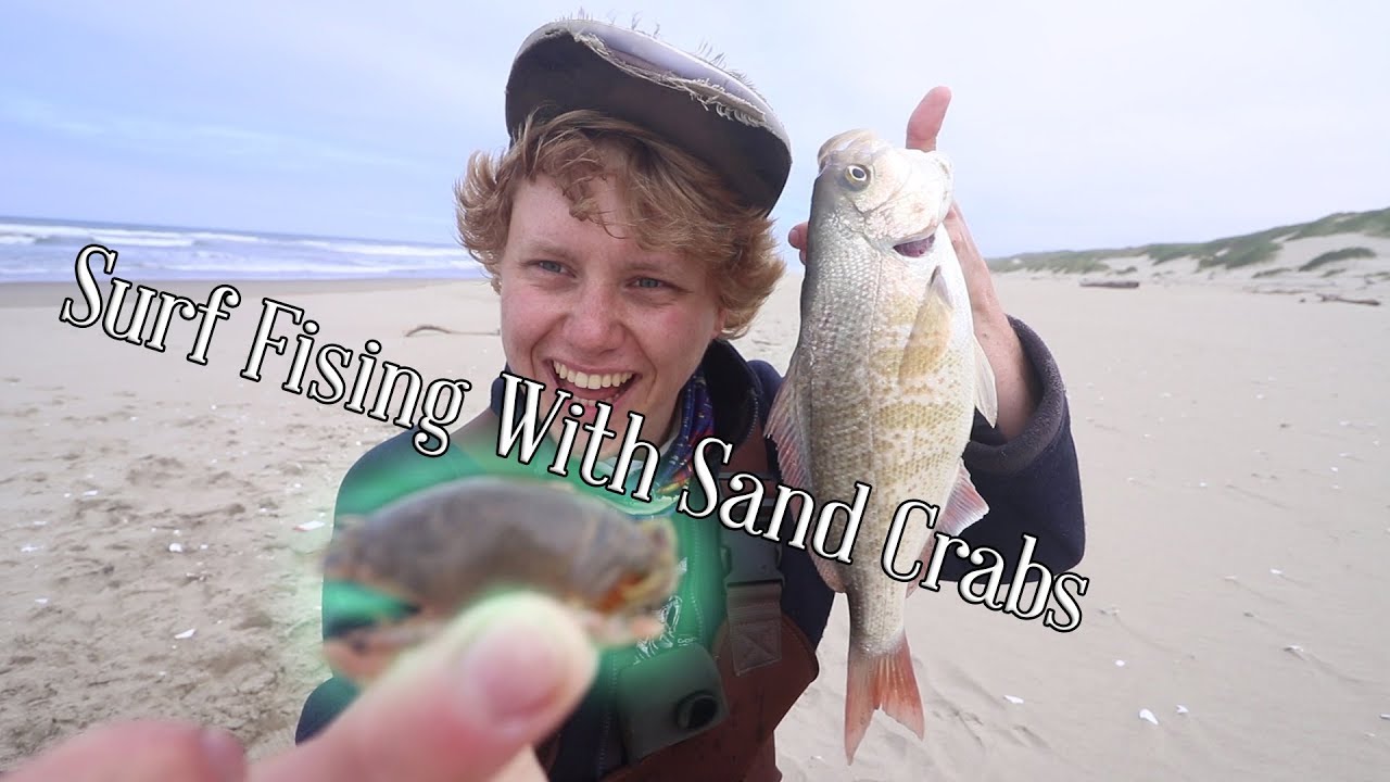 Finding and Fishing with Sand Crabs--Personal Best Surf Perch ft. Pk Yi (Oregon Surf Fishing)
