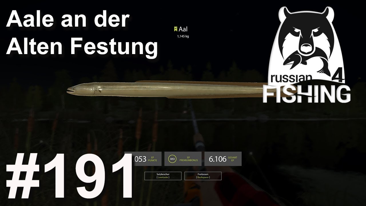 Viele Aale an der Alten Festung 🎣 🐋 | Russian Fishing 4 
