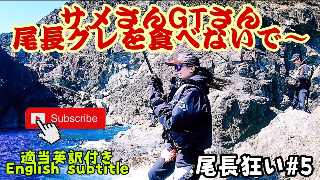 【素人が尾長グレに挑戦】サメとGTに食われずに獲ることができるか