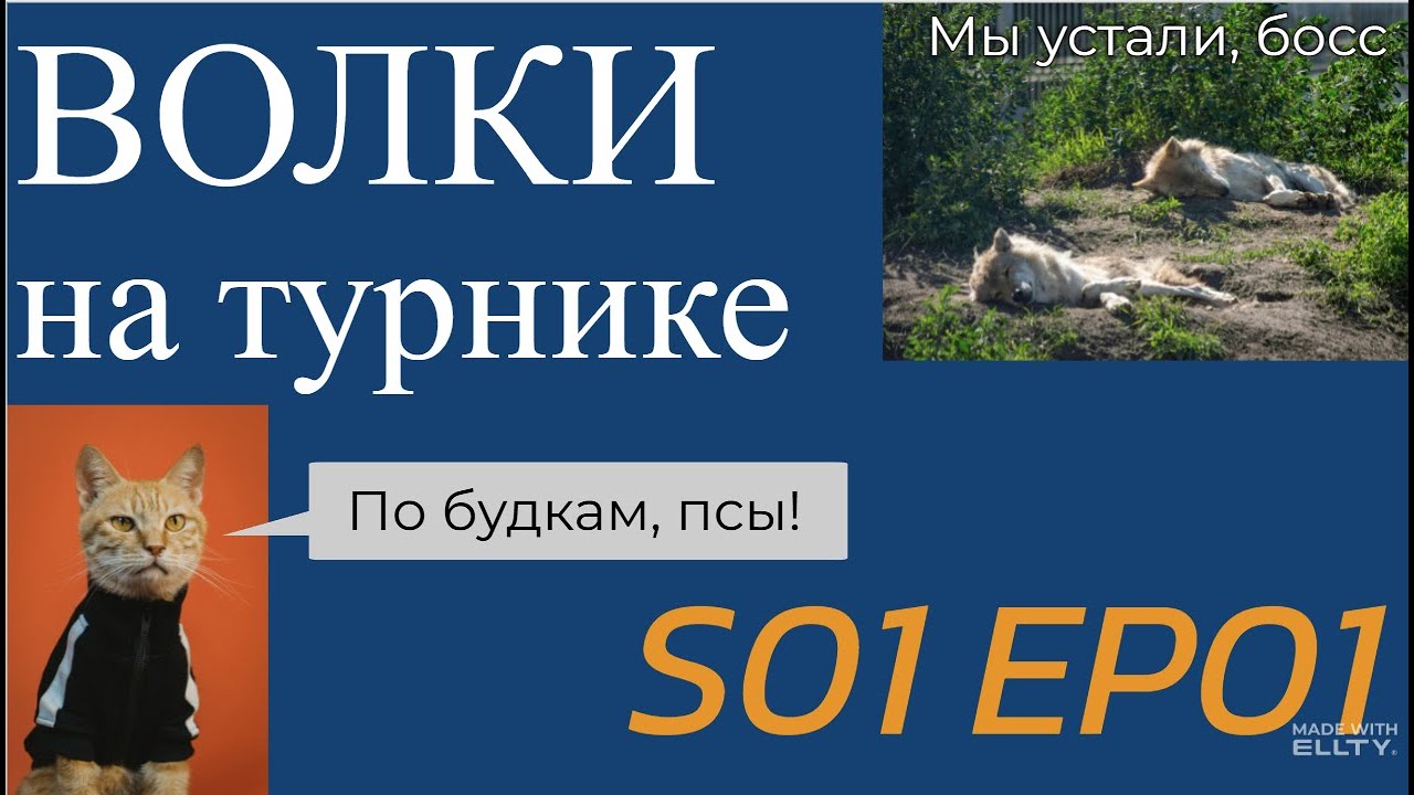 Волки на турнике S01EP01 - Набег шерстяных волчар