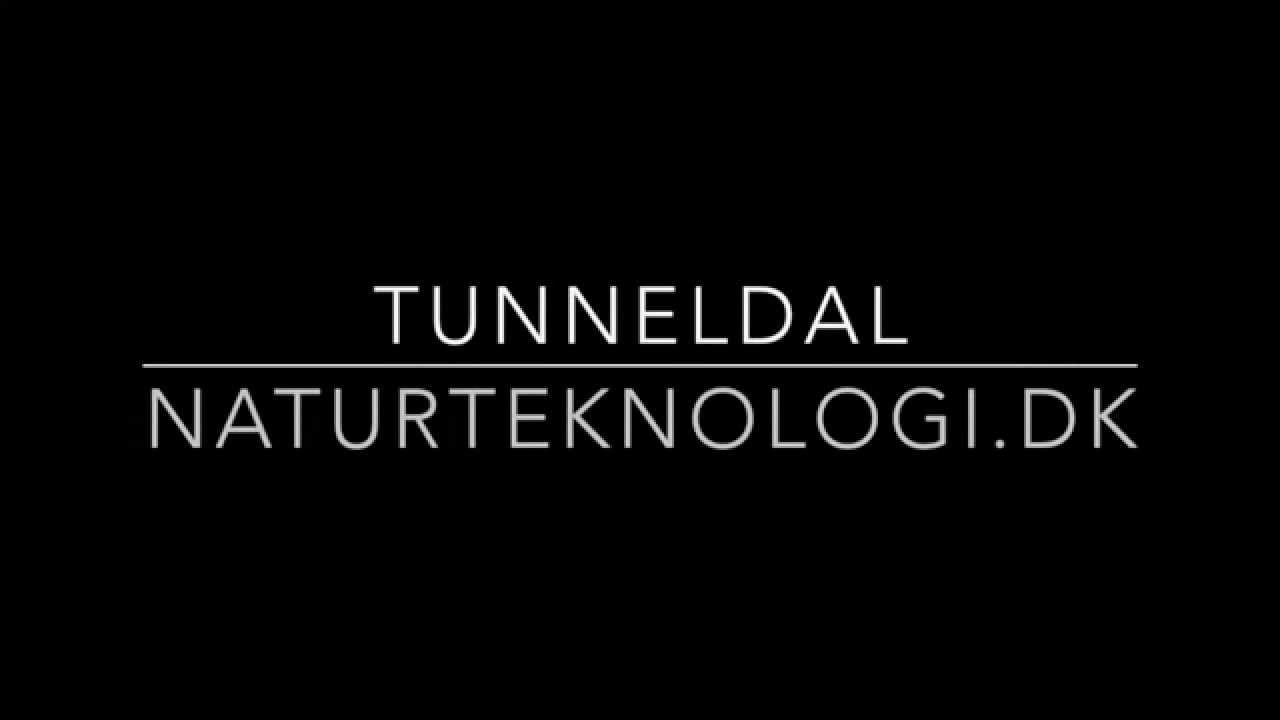 Tunneldale