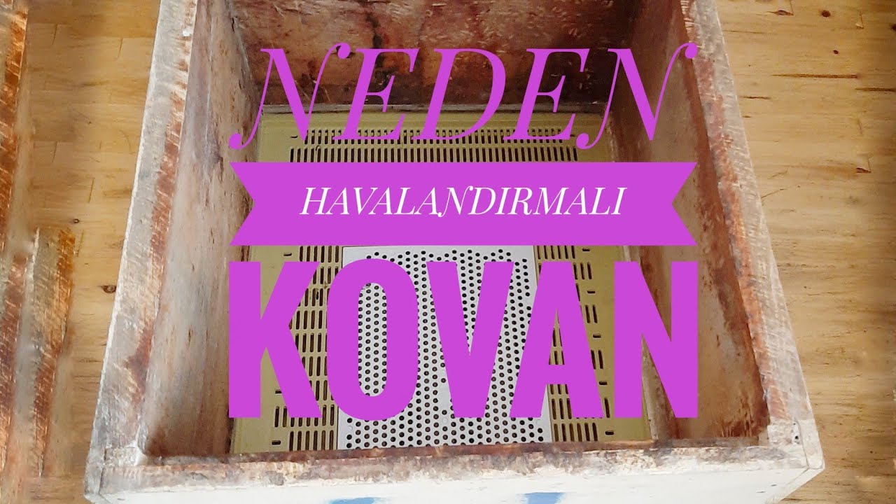 Arıcılıkta Havalandırmalı ve Polen Tuzaklı Kovanın Önemi