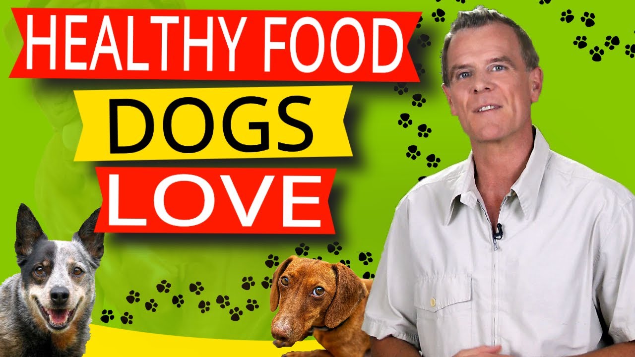 7 Healthy Foods Dogs Like to Eat (Healing Foods You Add to Kibble)