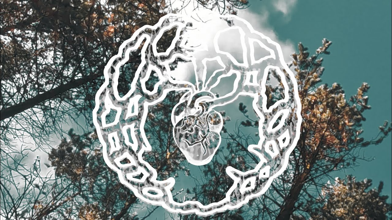 Dark Root Falls - King Of Beggars (Lyric Video)