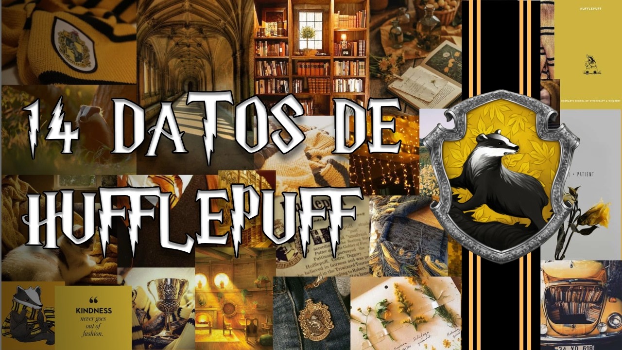 14 Cosas Que NO SABÍAS De Hufflepuff (La Casa Más Subestimada de Hogwarts) 🦡💛🖤