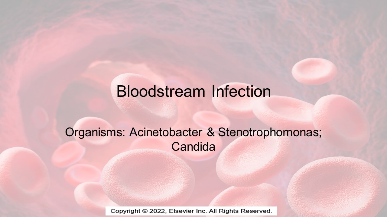 Bloodstream Infections: Acinetobacter, Stenotrophomonas, Candida
