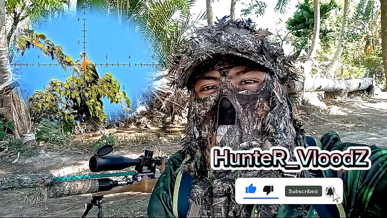 PUNAI HUNT ❗❗❗ #birdhunting #pestcontrol #berburu #trending #viral #hunter #berburupunaiterbaru