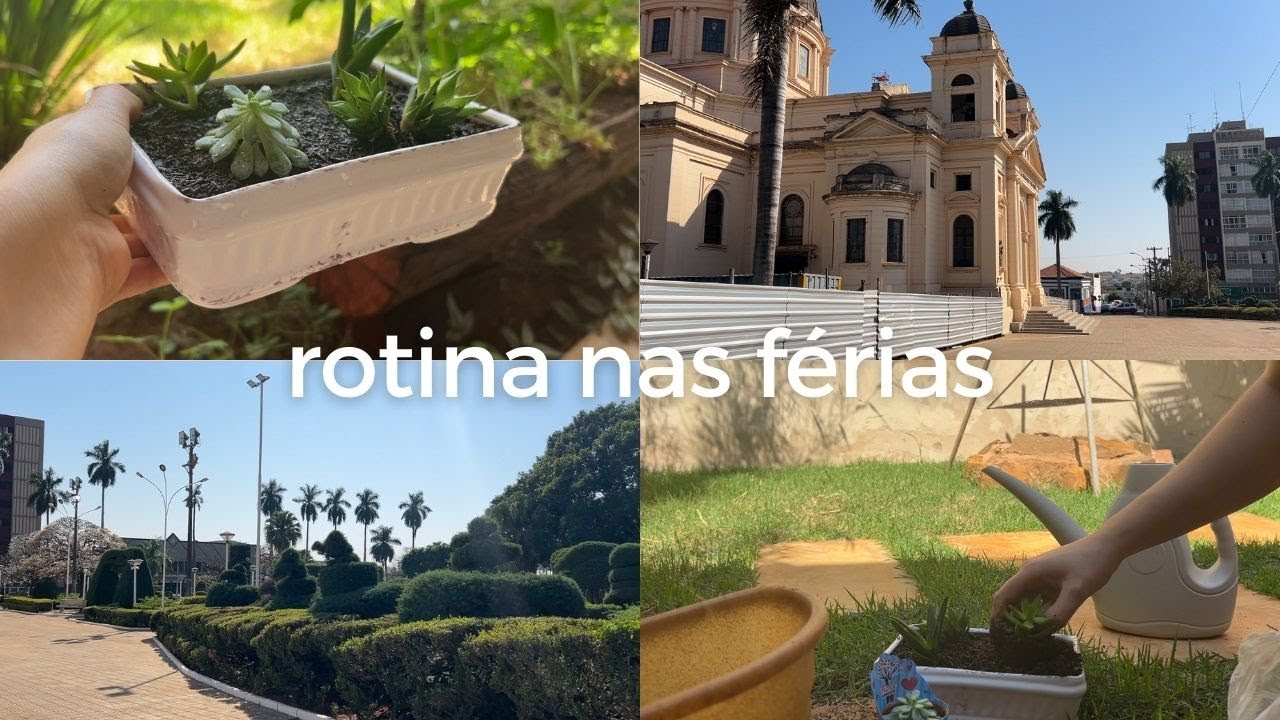 PLANTANDO SUCULENTAS | utilidades para casa, curtindo as férias e vamos viajar… 🏕️