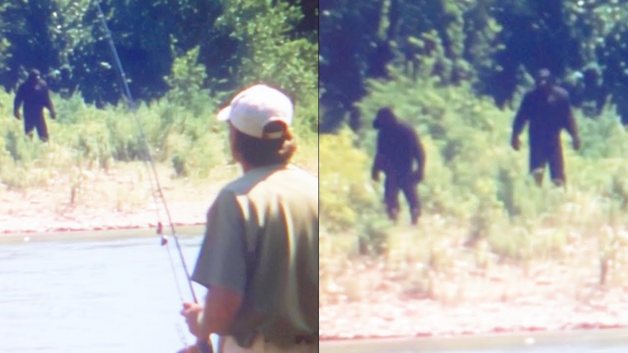 'Bigfoot Attacked Me While Fishing' - BIGFOOT ENCOUNTER STORY COMPILATION
