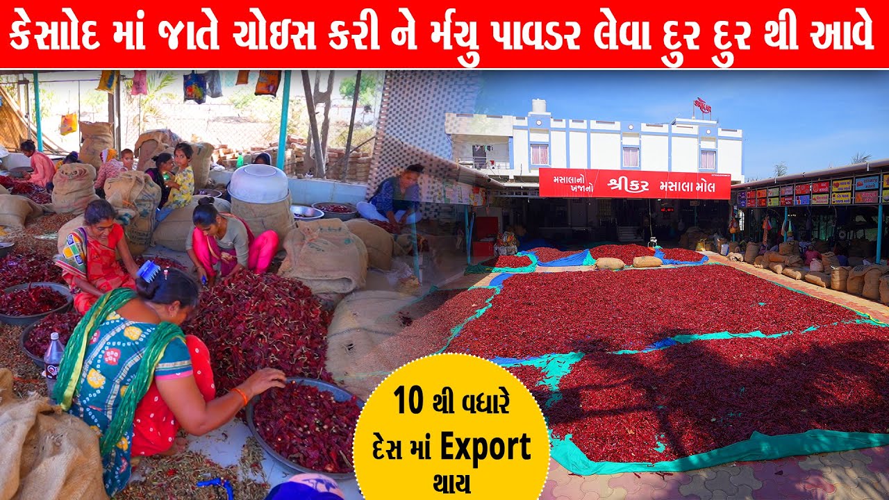 સીઝન ના મસાલા ભરતા પહેલા આ માહિતી તમને ખુબ કામ લાગશે shreekar mashala