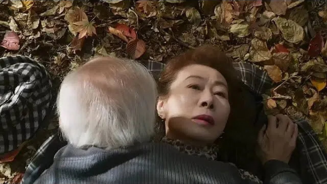 高齢者が無視されている生理的ニーズ。65歳の老人は生活のため、公園で立ちんぼをせざるを得なかった──『バッカス・レディ』