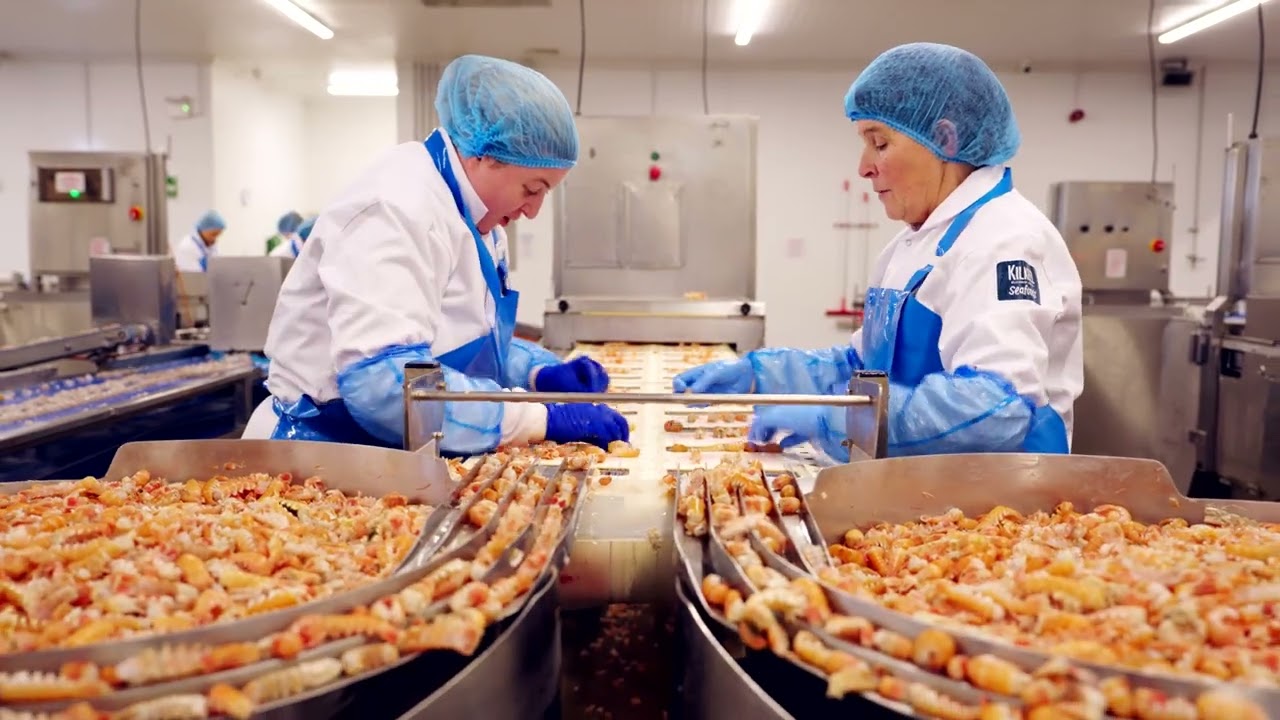 What is Scampi?