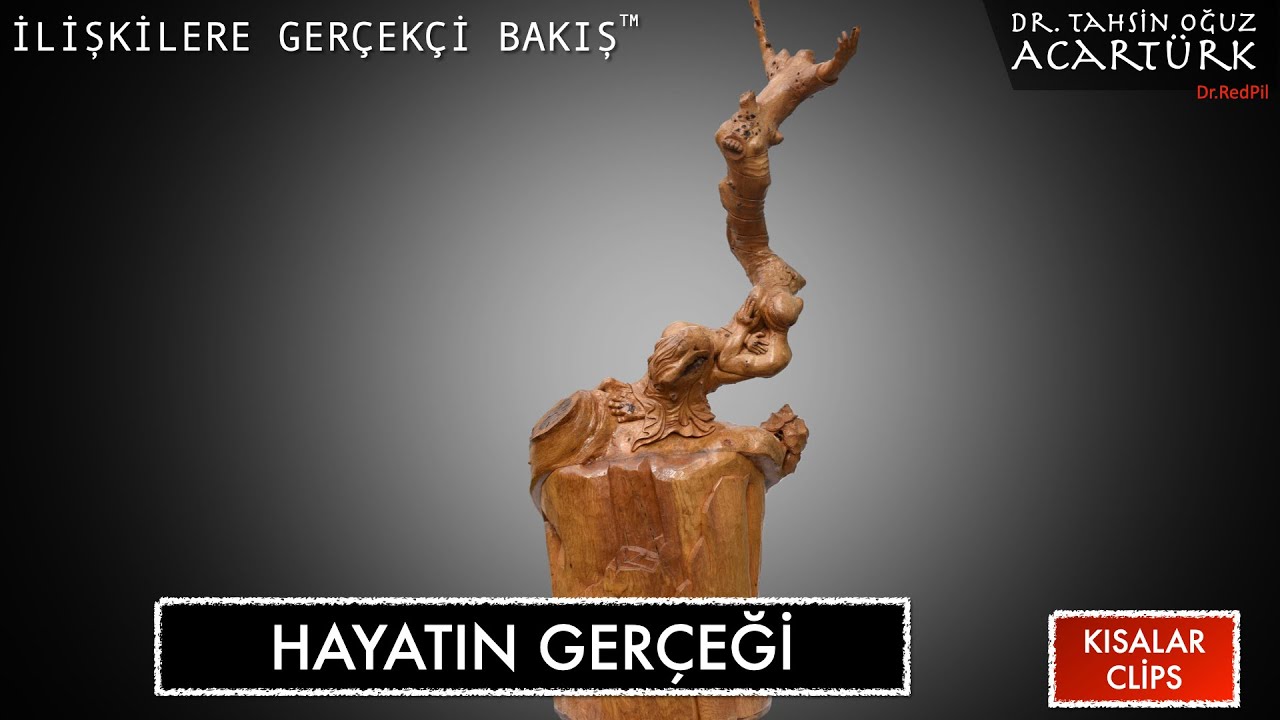 Hayatın Gerçeği  (S228) | Dr. TOA Kısalar