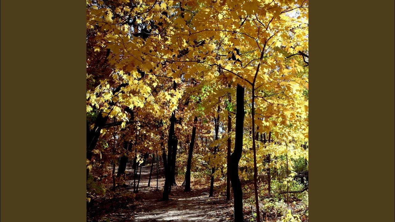 Greenpath (From 