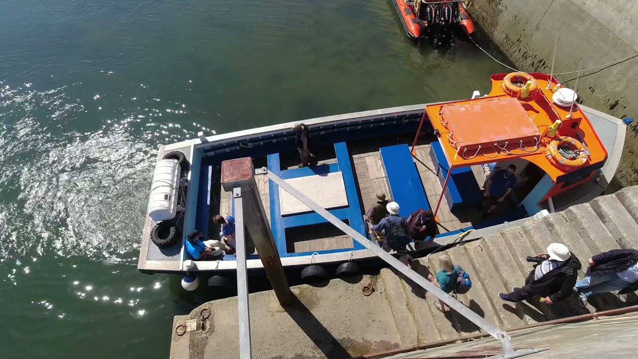Boat trip to the Inner and outer Farne Islands