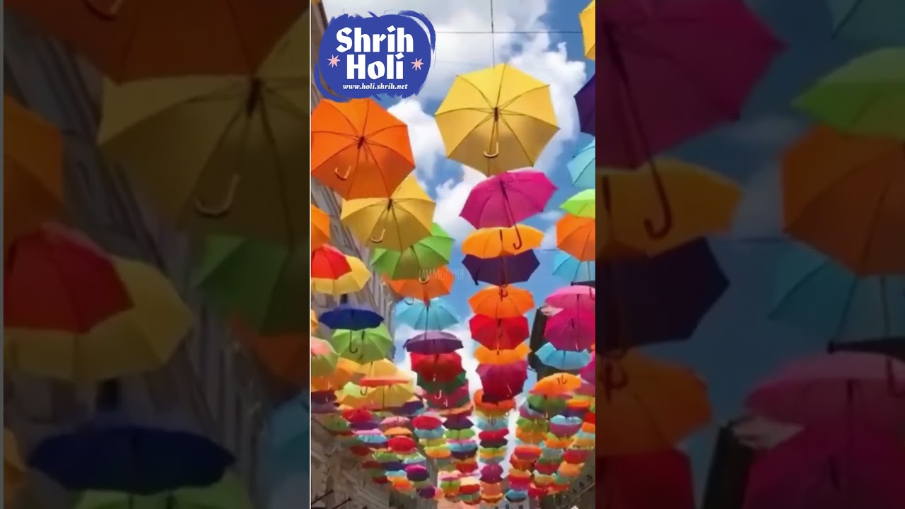 HOLI CELEBRATION & PREMIUM DECORATION  Holi Parties & Events Decorators. Planners & Organisers