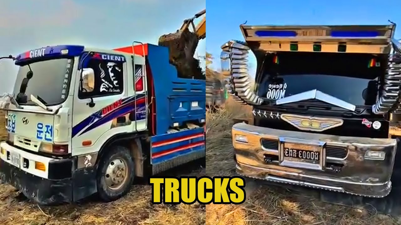 Truck dump style best  on the moments 2025
