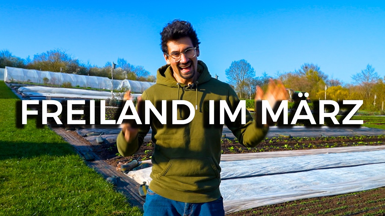 Was w&auml;chst jetzt im Freiland? (Ende M&auml;rz im Market Garden)