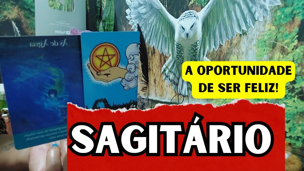 SAGI⭐️ A SUA RESPOSTA! 🤦🏻‍♀️O CORAÇÃO DIZ SIM,A CABEÇA DIZ NÃO, DEIXA O ORGULHO!🌹#tarot #sagitario