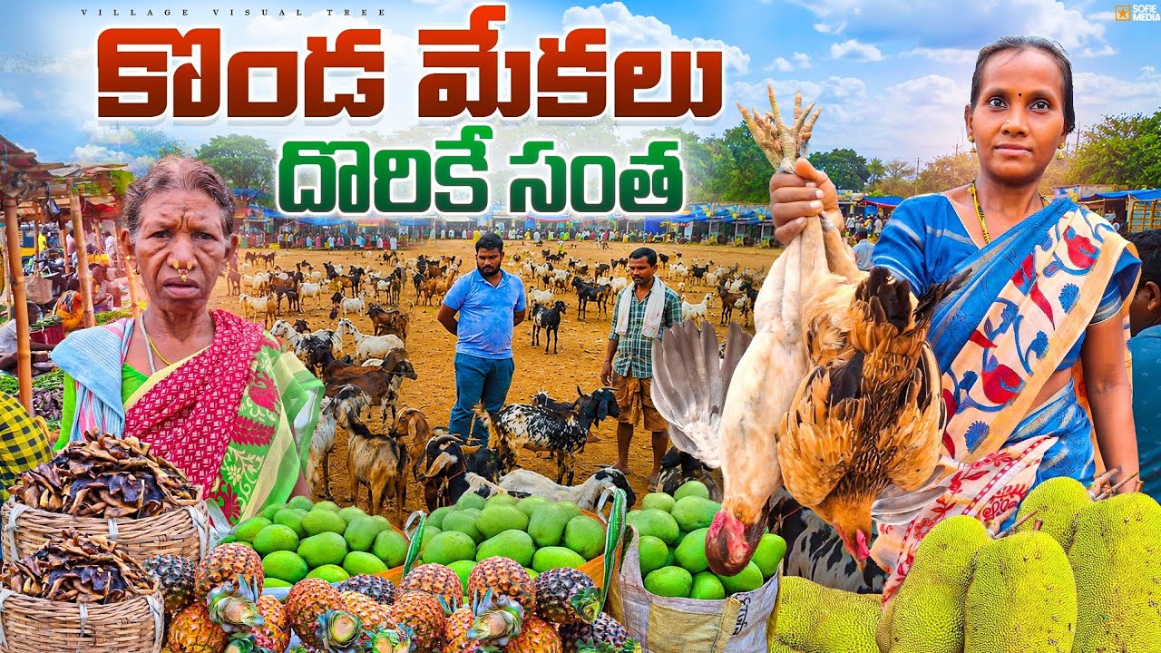 seethampeta tribal market || seethampeta santha 