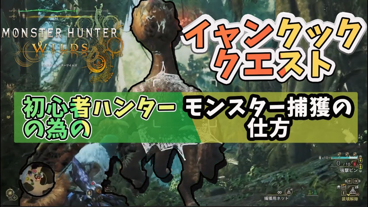 【モンスターハンターワイルズ】イャンクック捕獲クエスト　捕獲の方法