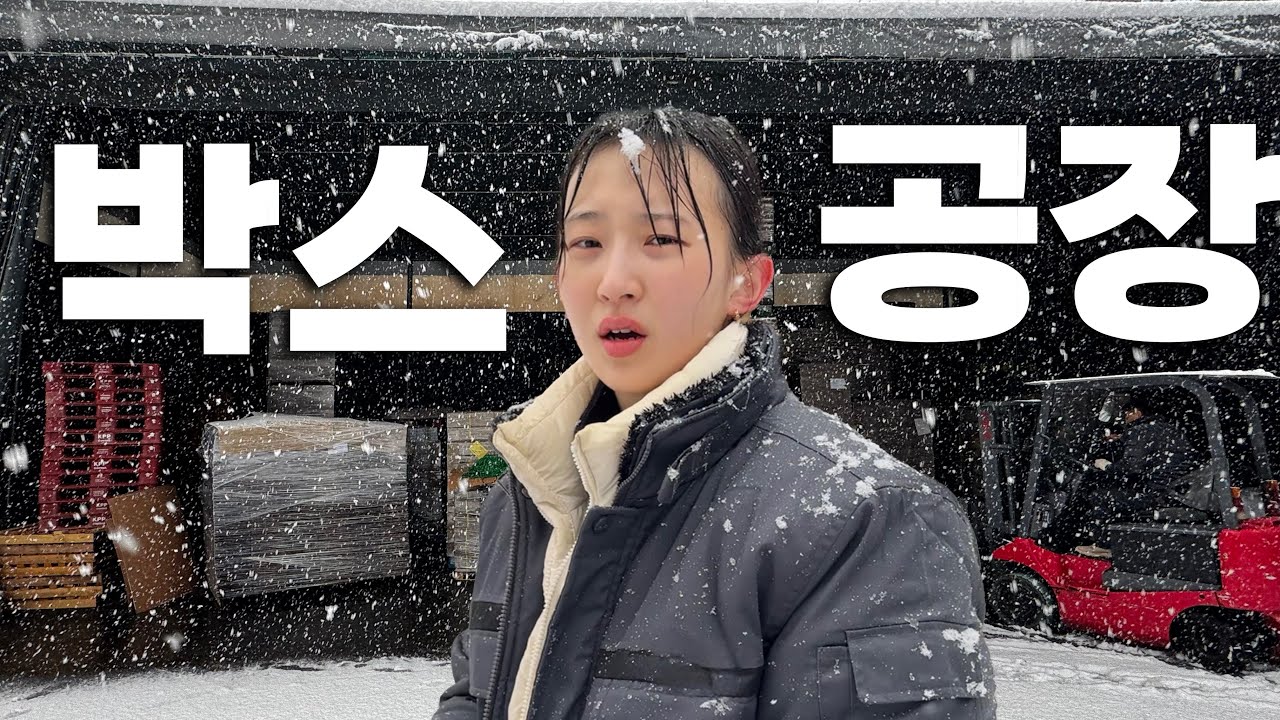 박스공장에서 자란 여자