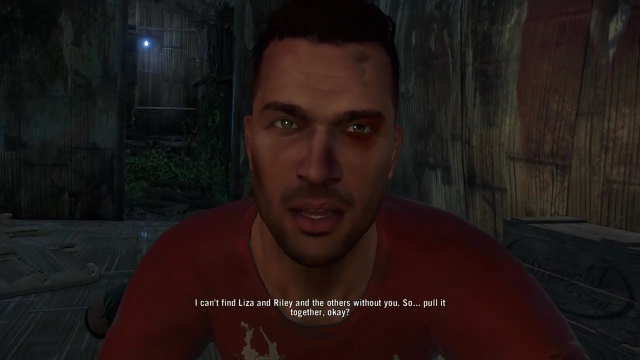Far Cry 3 #1