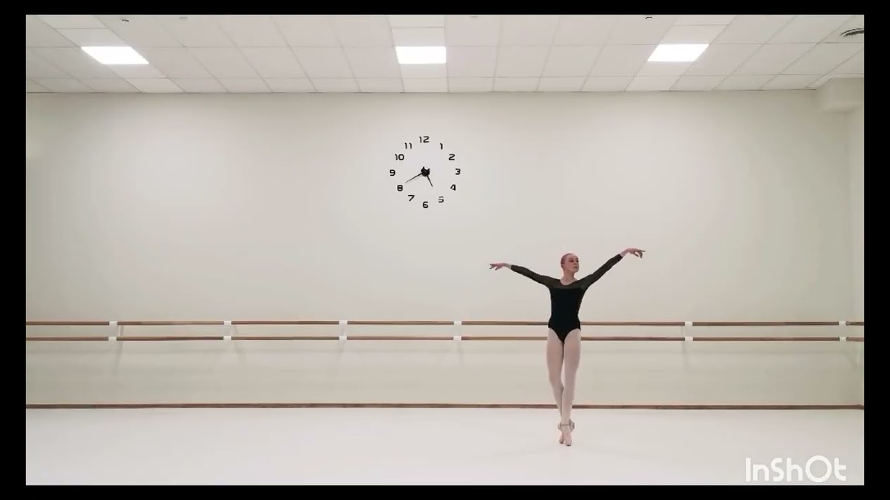 Gabriela Verkovska audition