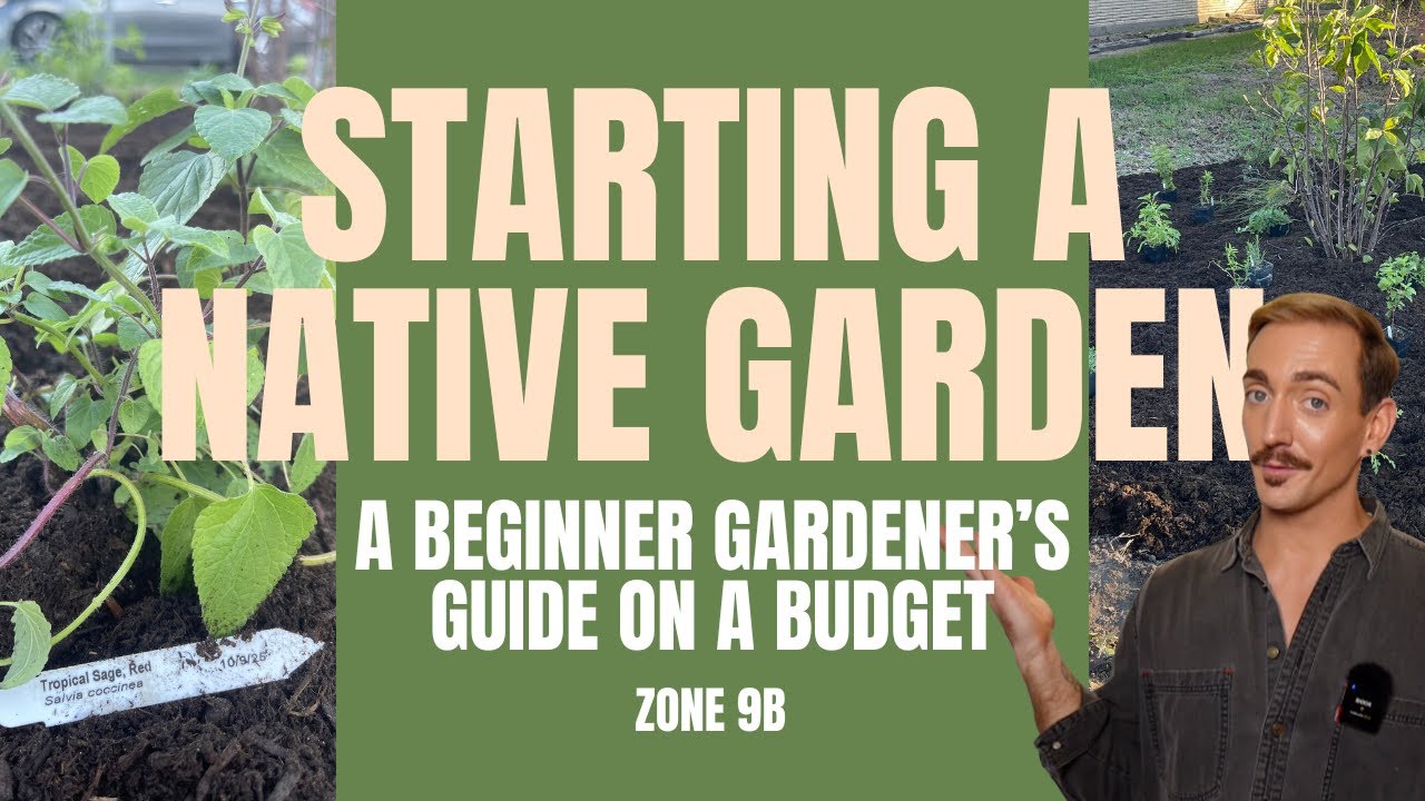 QUICK & AFFORDABLE NATIVE GARDEN SETUP