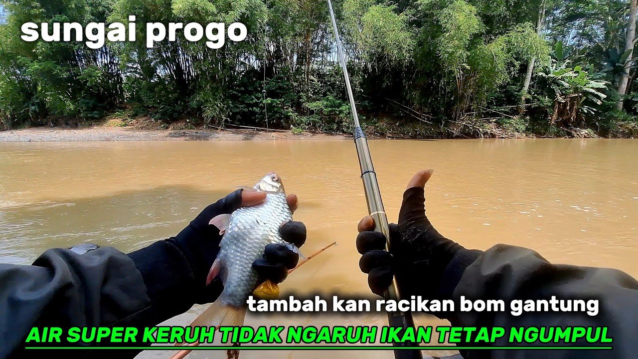 AIR SUNGAI PROGO SUPER KERUH ‼️ GUNAKAN TEKNIK PENGUMPUL IKAN PASTI NOL NIL❗️