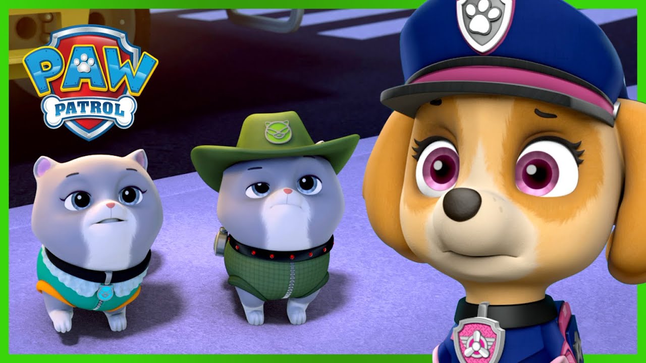 Misja ratunkowa: pieski ratują kr&oacute;lewskie kociaki - Psi Patrol PAW Patrol po polsku - Pup Tales