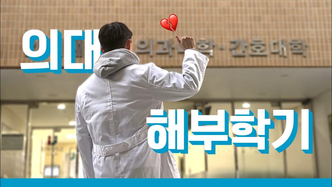 의대 가서 몇 등 하나요? [의대 해부학기 브이로그]