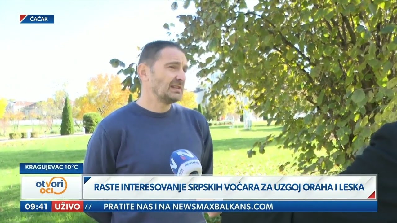 NewsmaxBalkans - Raste interesovanje srpskih voćara za uzgoj oraha i leska