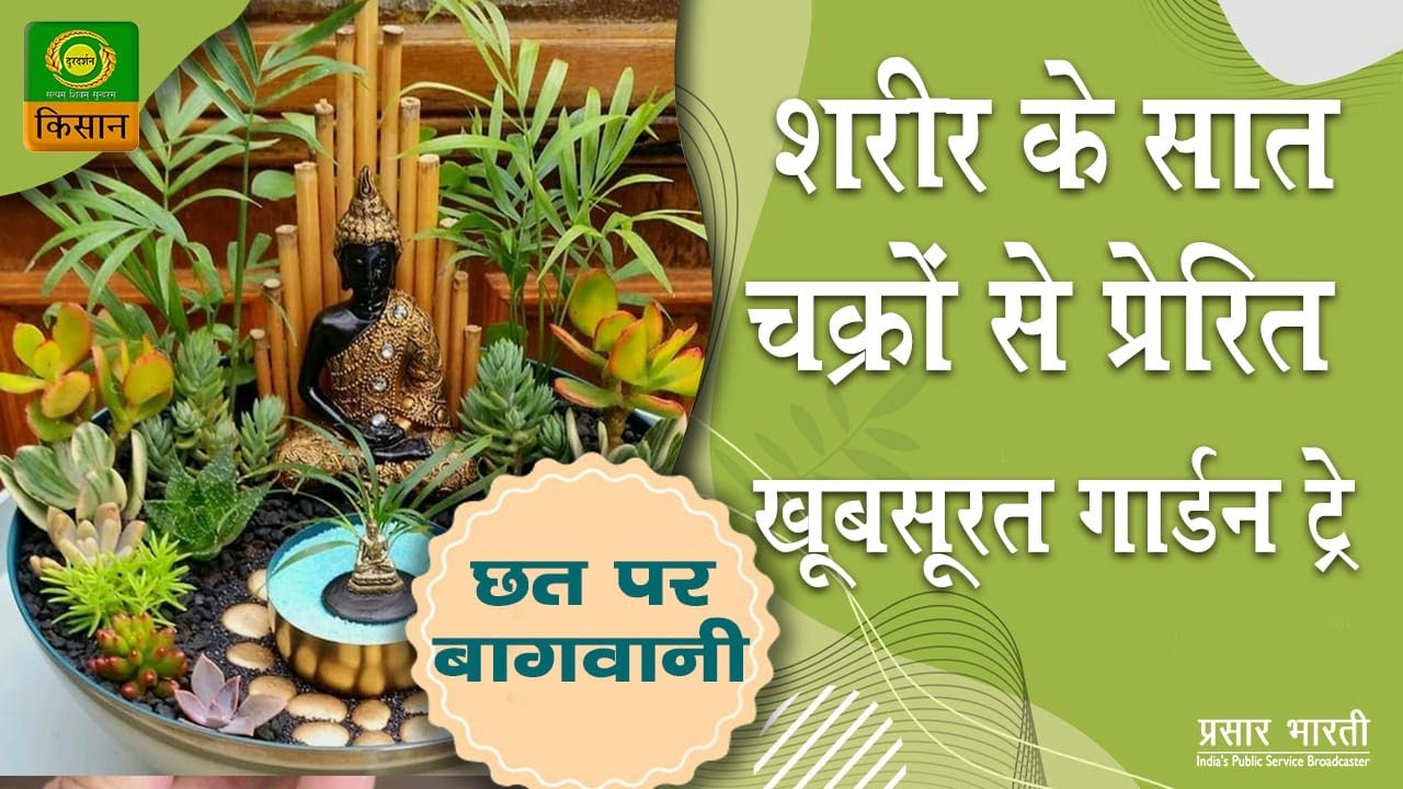 Chhat Par Bagwani : Garden Tray Inspired by the 7 Chakras of the Body
