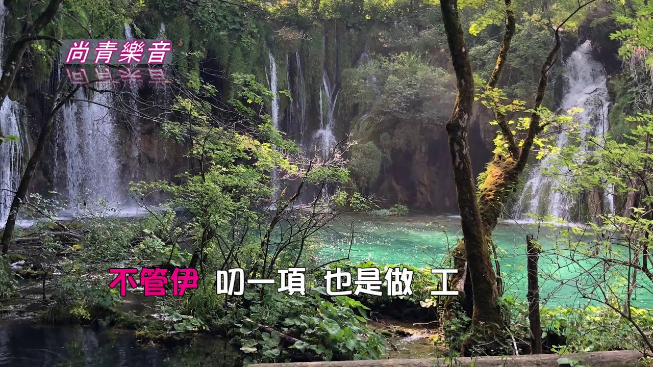 【舊皮箱的流浪兒】附KTV歌詞~尚青電子琴