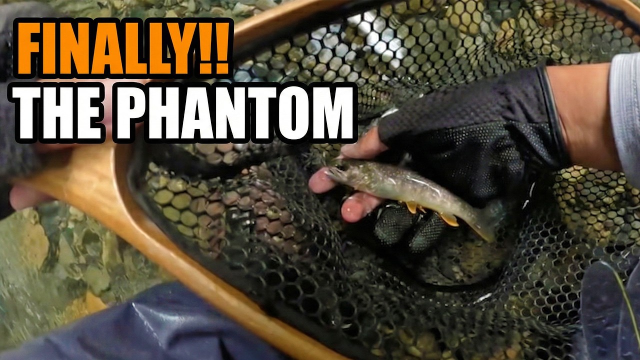 The Phantom Revealed: Catching the Rarest NATIVE Iwana in Chichibu!