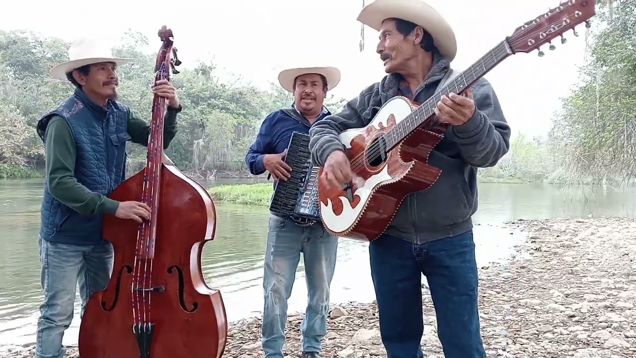 Alma rendida #musicacampirana