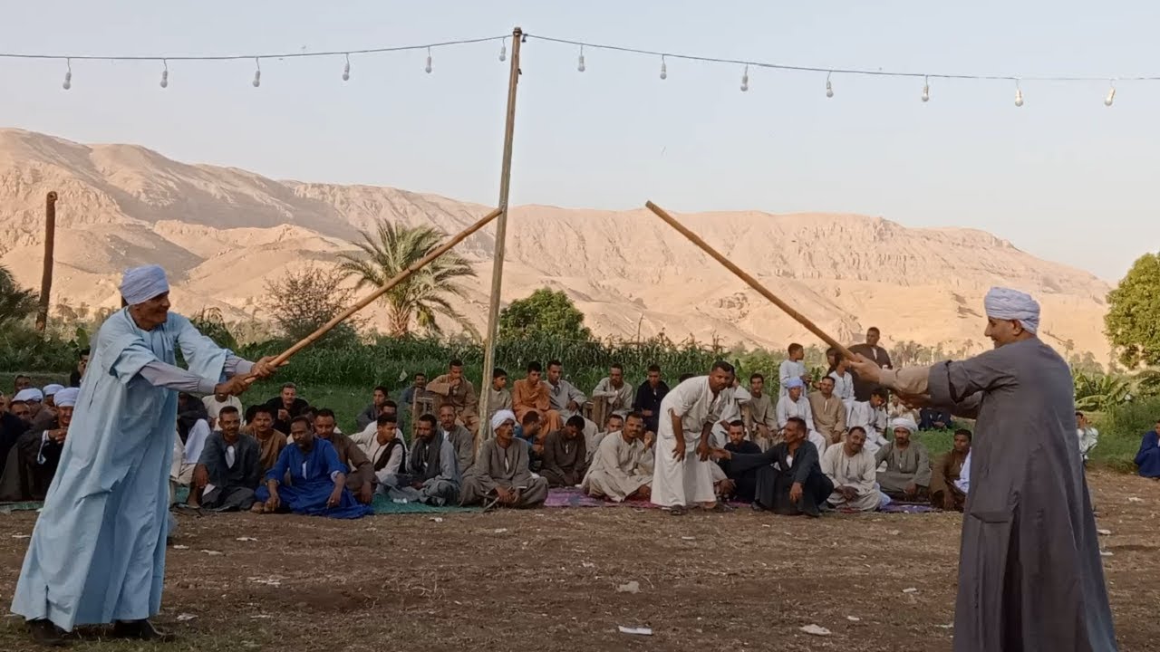 تحطيب الشيخ ربيعي و نور البصيلي و العمده معتمد و فيصل و محمد فتحي و ممدوح