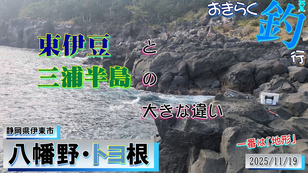 【#八幡野・#トヨ根】#おきらく釣行【2025/11/19前】