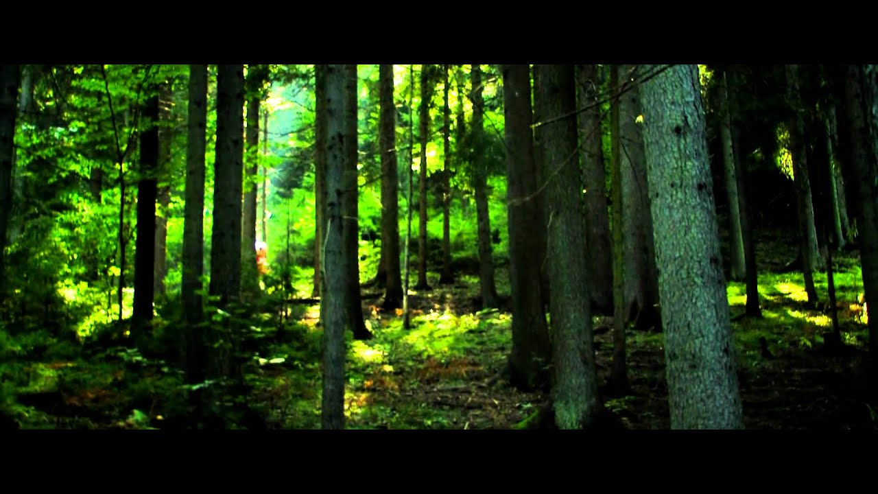 Vierter Sommer - Official Teaser