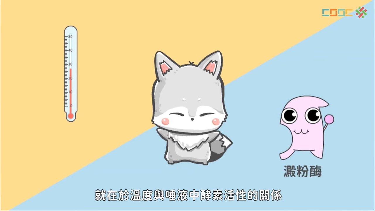 108新課綱｜七上生物｜【討論】酵素的作用